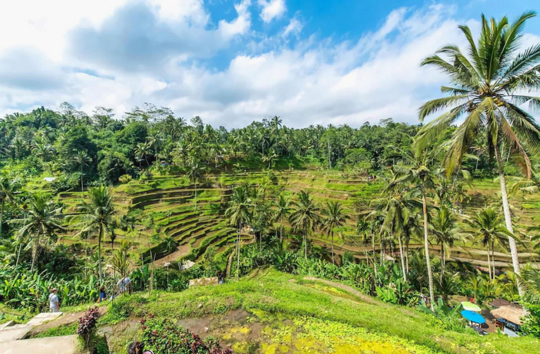 Others 4, The Kanjeng Resort Ubud, Gianyar