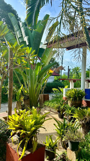 Others 5, Blooming Village by Aforetime, Ko Samui