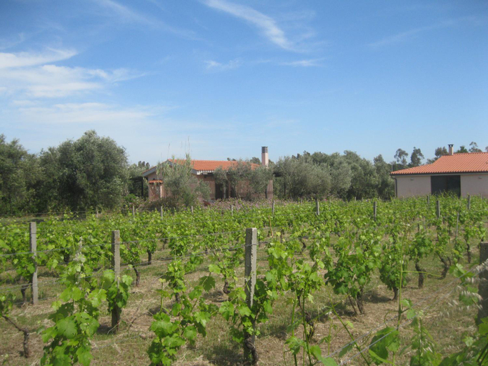 Others 3, B&B Sa Ingia, Oristano