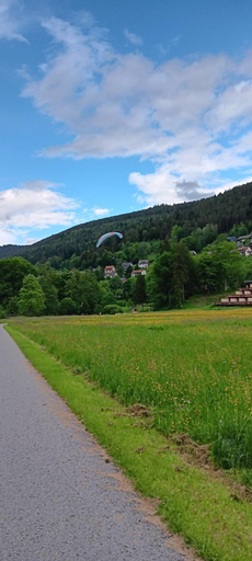Others 4, Ferienwohnung in ruhiger Waldrandlage, Calw