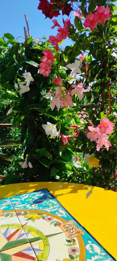 Sport & Beauty 2, B&B Terramare, Grosseto