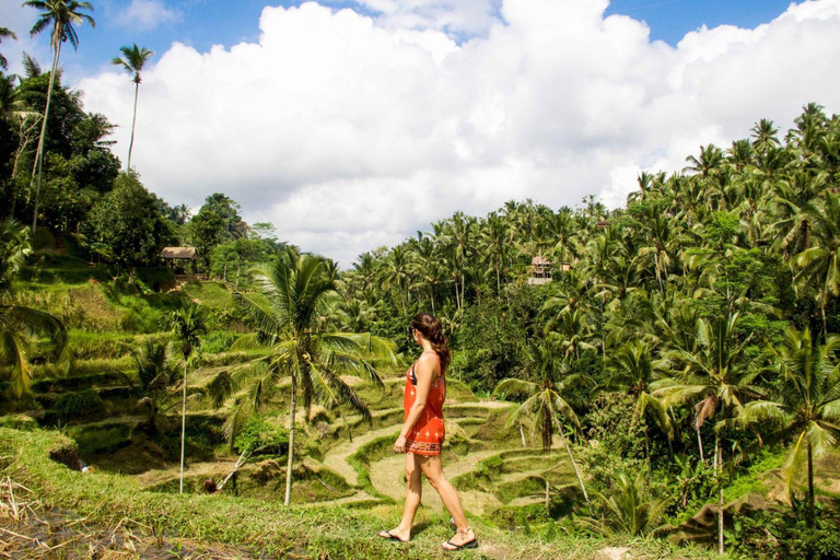 4, Villa SARY AKAR, Gianyar
