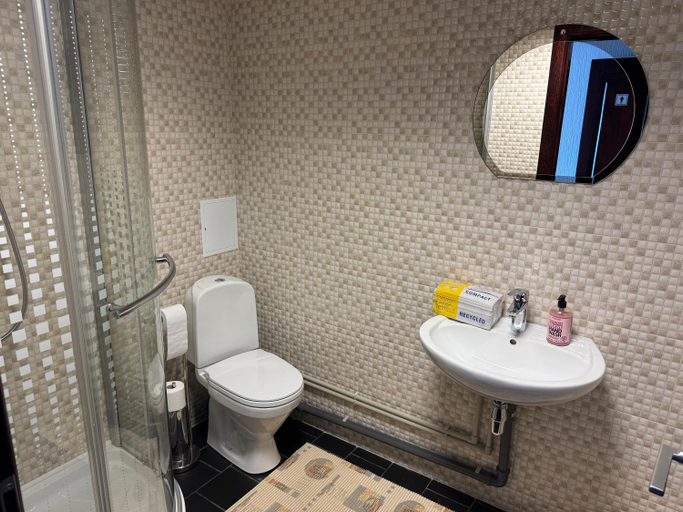 Bathroom 3, Daugava hotel, Aizkraukle