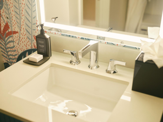 Bathroom 5, Soma House, San Francisco
