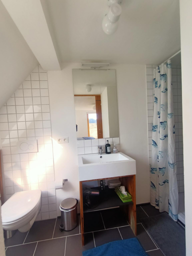 Bathroom 2, Ausblick Maisenbach Talstraße, Calw