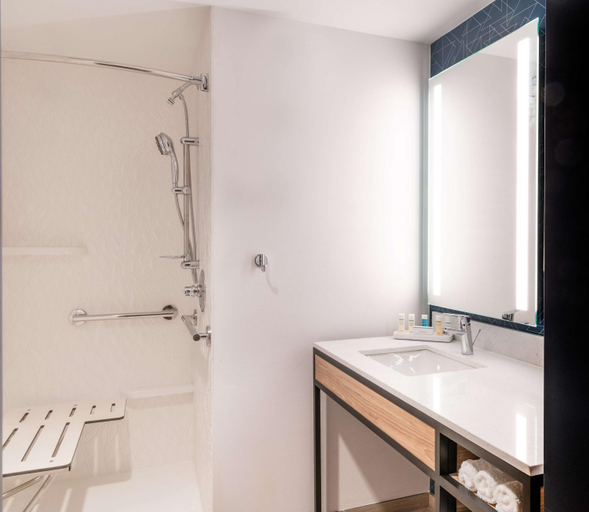 Bathroom 4, Hilton Garden Inn Flint Downtown, Genesee