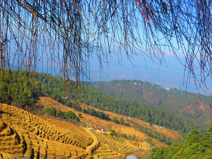 Others 5, Durgesh Hillock Resort, Almora