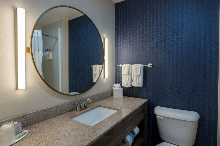 Bathroom 4, Fairfield Inn by Marriott Dothan, Houston