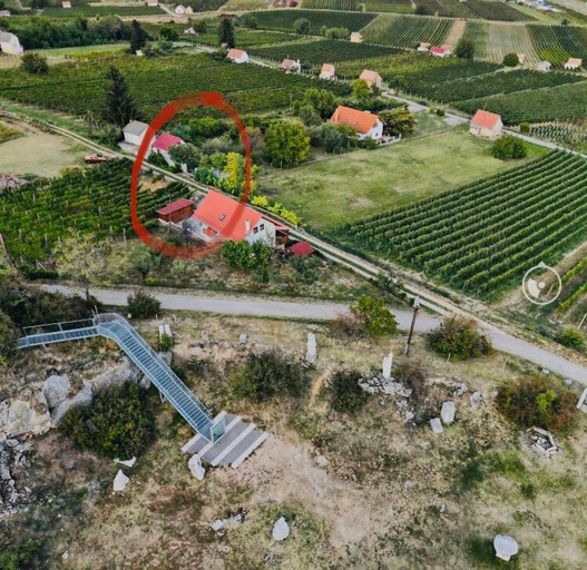 Others 3, BoraszPorta - Preshaz, Siklósi
