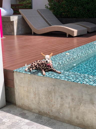 Sport & Beauty 2, Kyoto Great Hotel, Muang Chiang Mai