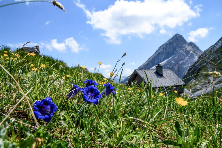 Others 5, Haus BergGesundZeit Doppelzimmer Karlingerhaus, Berchtesgadener Land