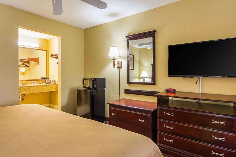 Bedroom 4, Bryant Inn & Suites, Saline