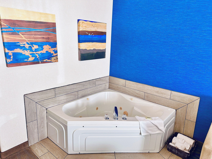 Bathroom 5, Holiday Inn & Suites REGINA by IHG, Division No. 6
