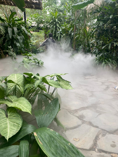 Others 2, Nha Lua Homestay, Gia Viễn