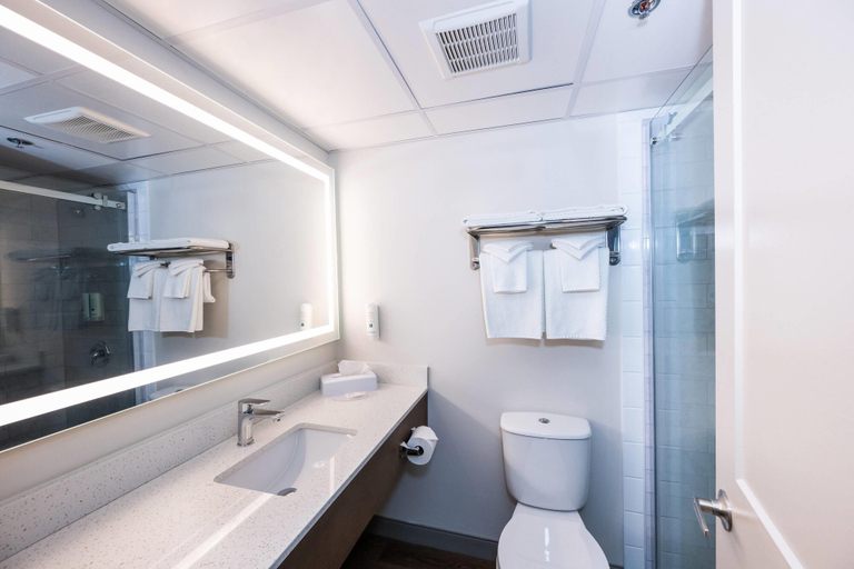 Bathroom 5, Quality Inn & Suites, Yukon