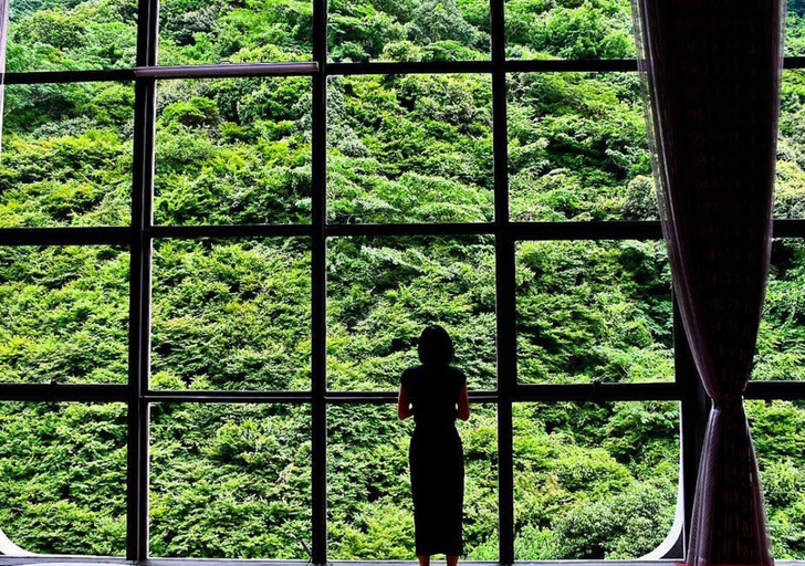 Public Area 4, Okudogo Ichiyu no Mori, Matsuyama