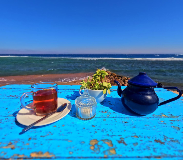 Food & Drinks 4, Dahab Bay hotel, Sant Katrin