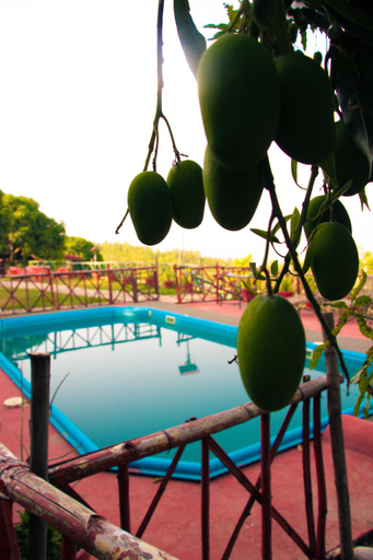 Sport & Beauty 3, Forest Bliss Resort, Dehradun