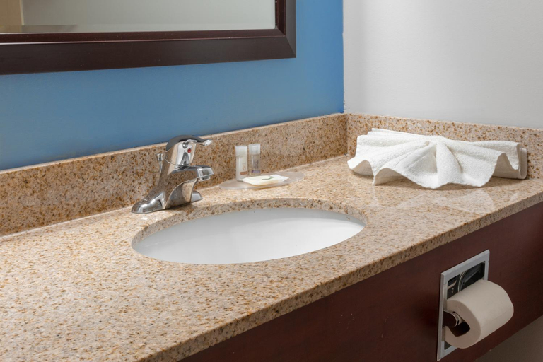 Bathroom 4, Signature Stay Inn and Suites, Hamilton