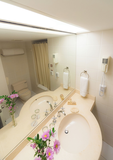 Bathroom 5, Roosevelt Hotel & Suites, Lima