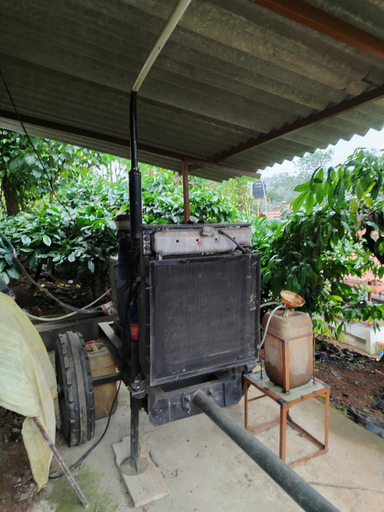 Others 5, Shivalaya Homestay, Private Rooms, Kodagu