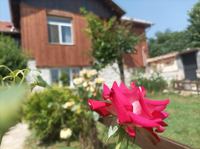 Others 4, Villa Nina in Kramolin, Sevlievo
