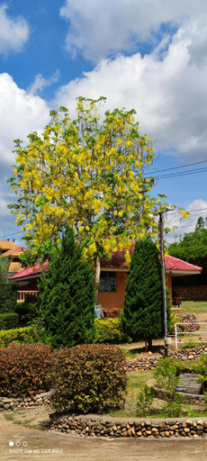 Others 4, Phufatara Resort, Wiang Pa Pao