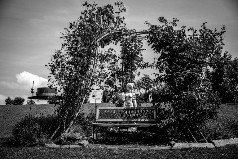 Exterior & Views 2, Panoramahotel Steirerland, Leibnitz