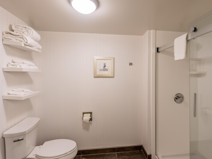 Bathroom 4, Hampton Inn & Suites Jackson Downtown-Coliseum, Hinds
