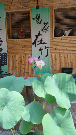 Others 4, 张家界竹奢民宿, Zhangjiajie