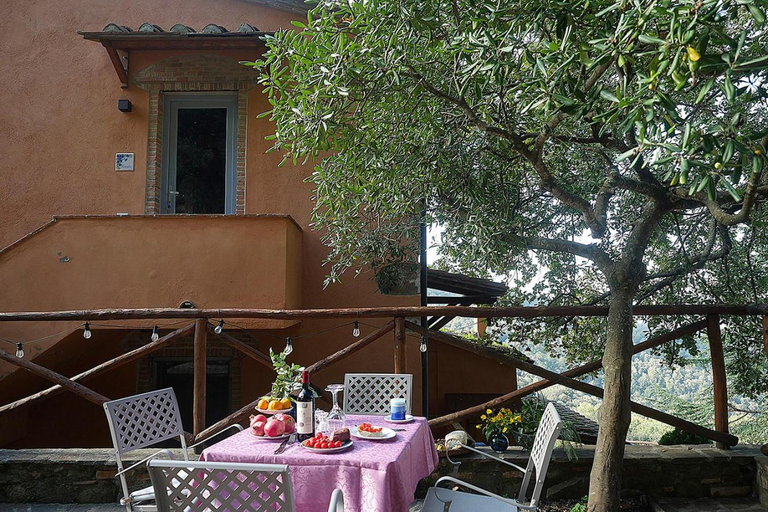 Others 5, Podere Bagnoli, Livorno