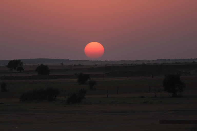 Others 2, Royal Peepli Desert Camp, Jaisalmer