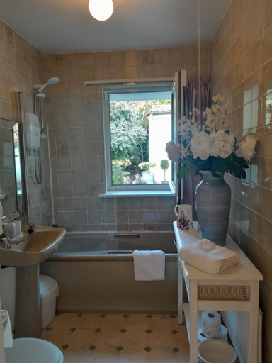 Bathroom, Saint Martin's Bed and Breakfast