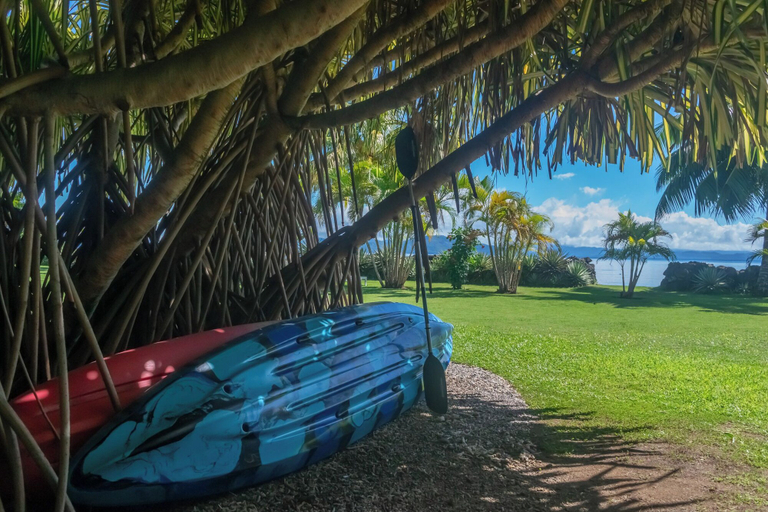Property grounds 5, Aroha Taveuni Beachfront Bures, Cakaudrove