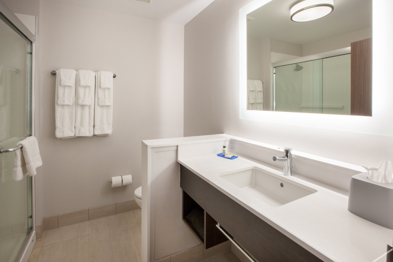 Bathroom 3, ホリデイ イン エクスプレス アンド スイーツ オースティン ノース - プフルガービル by IHG, Travis