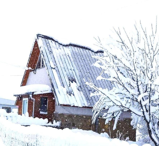 Exterior view 3, Cottage Gudauri, Dusheti