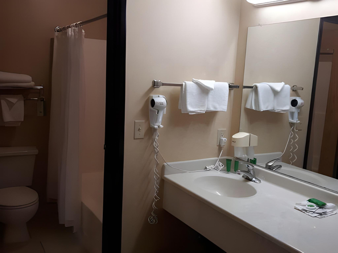 Bathroom 3, Lavissh inn and Suites, Whatcom