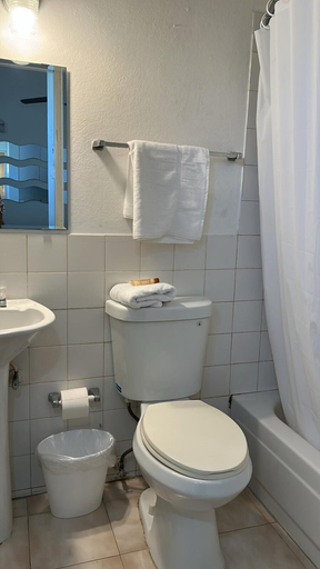 Bathroom, Gladiolas 2203