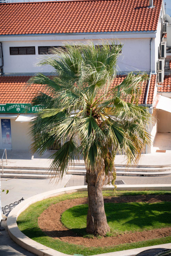 2, Apartments Centar, Vodice