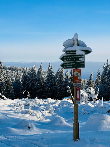Others 5, Hotel und Berggasthof Tanzbuche, Gotha