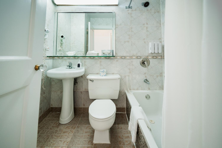 Bathroom 4, Congress Plaza Hotel, Cook