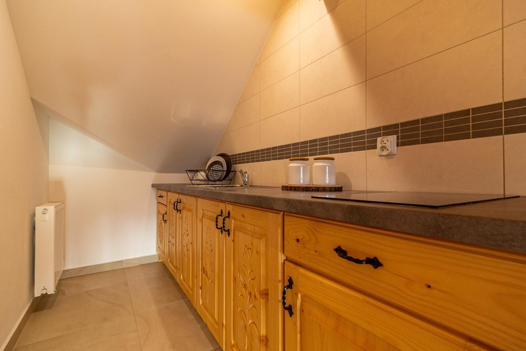 Others 4, WILLA OLSZA wood house & mountain view & sauna, Tatra