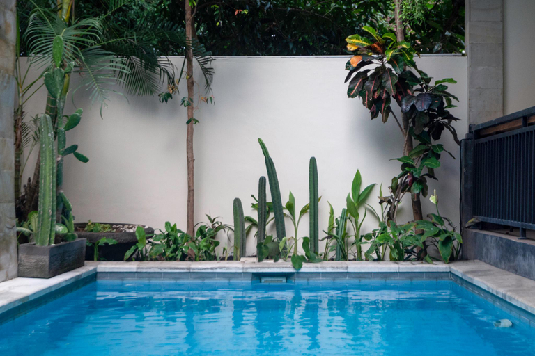 Sport & Beauty 4, WASAMODA CANGGU guest house home stay villa, Badung