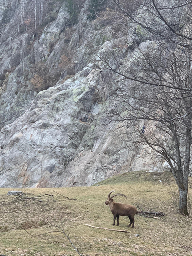 Others 4, Hotel des Lacs, Haute-Savoie