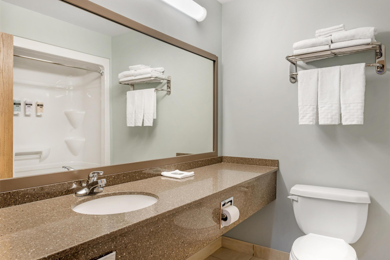 Bathroom 4, Best Western Plus Woodstock Hotel & Conference Centre, Carleton
