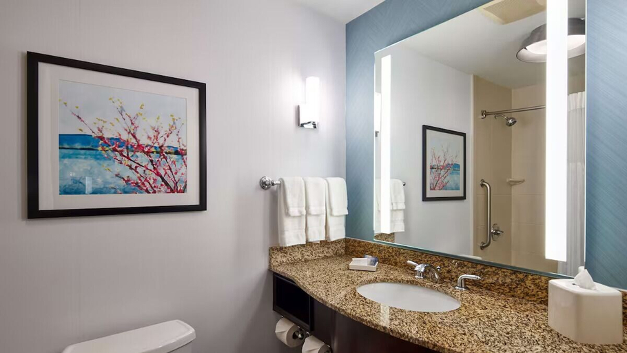 Bathroom 5, Clarion Inn, Lake