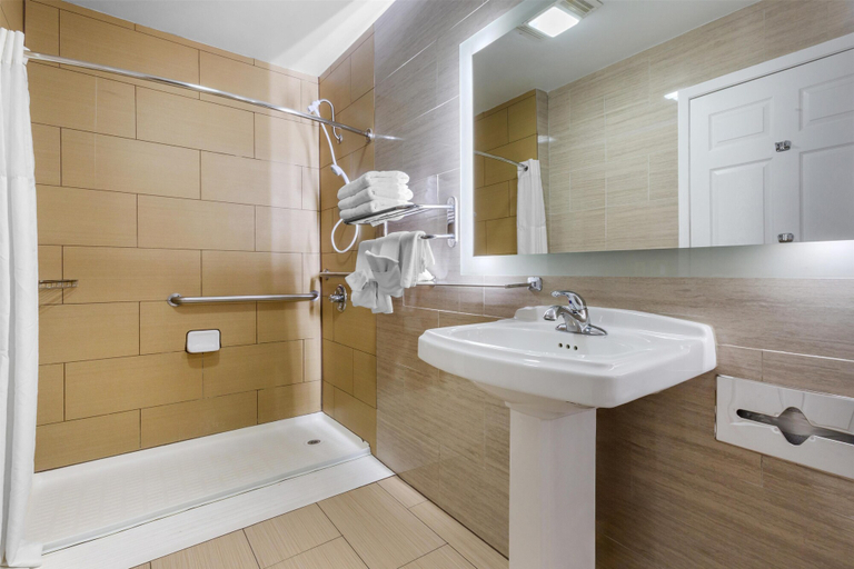 Bathroom 4, Best Western Brady Inn, McCulloch