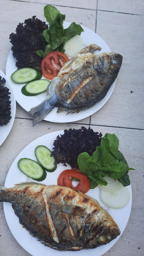 Food & Drinks 5, Teo Hotel&Pansion, Kemer