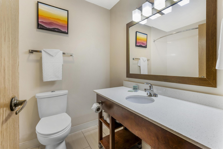 Bathroom 5, Best Western Joliet Inn & Suites, Will