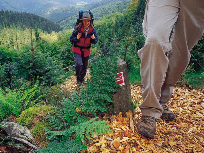 Others 5, Group Stay in Brilon-Wald, Hochsauerlandkreis